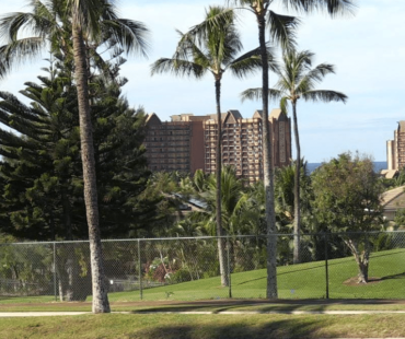 Chinese company completes sale of nearly 500 acres in Hawaii